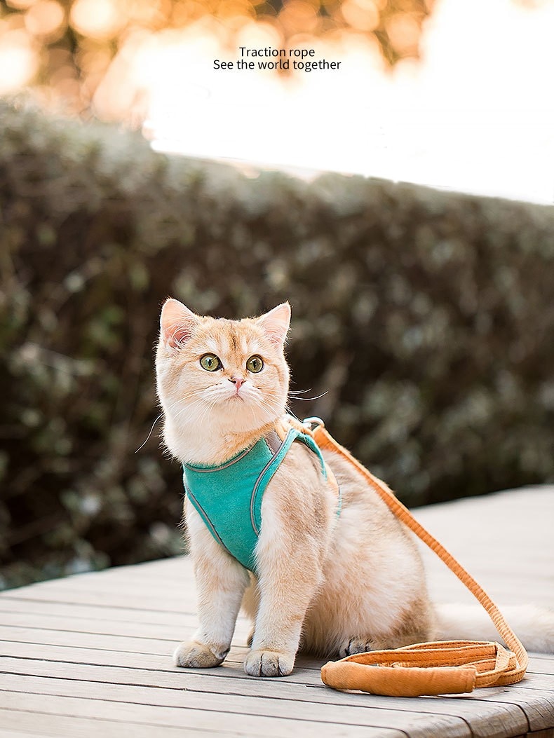 Pet Leash Night Fluoresce Vest Type Cat Universal Chest Harness Dog Chain Dog Supplies Dog Walking Cat Walking Leash Dog Harness